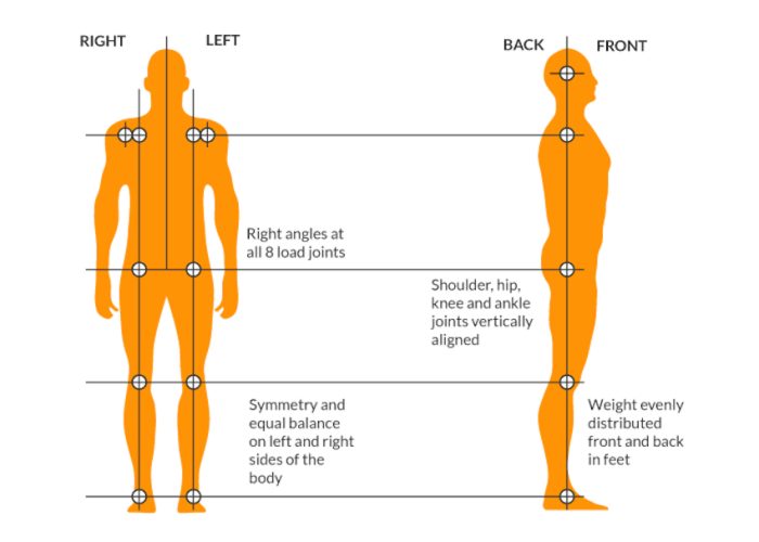 Visual guide showing ideal body alignment used during posture correction assessments from front and side views